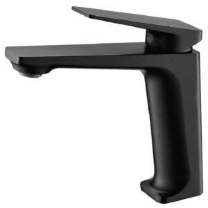 mitieur-lavabo-noir-maxiveloo-D56